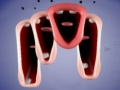 Game Crazy Lips