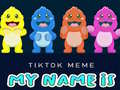 Game TikTok Meme My Name Is