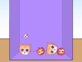 Game Evolution of Cat Memes