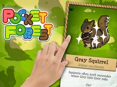 Game Pocket Forest
