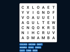 Game Word Search Word Puzzle