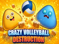 Game Crazy Volleyball Destruction