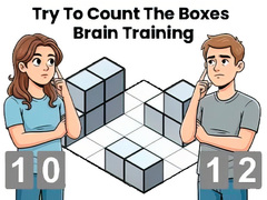 Game Try To Count The Boxes Brain Training