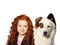 Dog With a Blog games