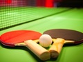 Ping Pong Games 