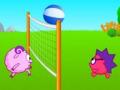  Volleyball