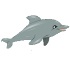 My Dolphin show  games 